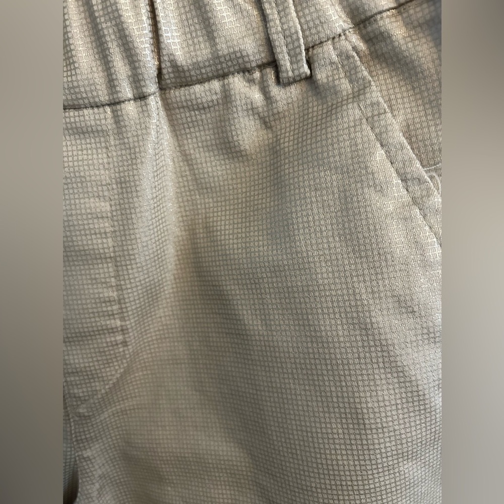 Bevy Flog Metallic Beige Check Elastic Waist Pock… - image 3